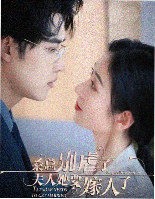 南岸旧事 剧集海报